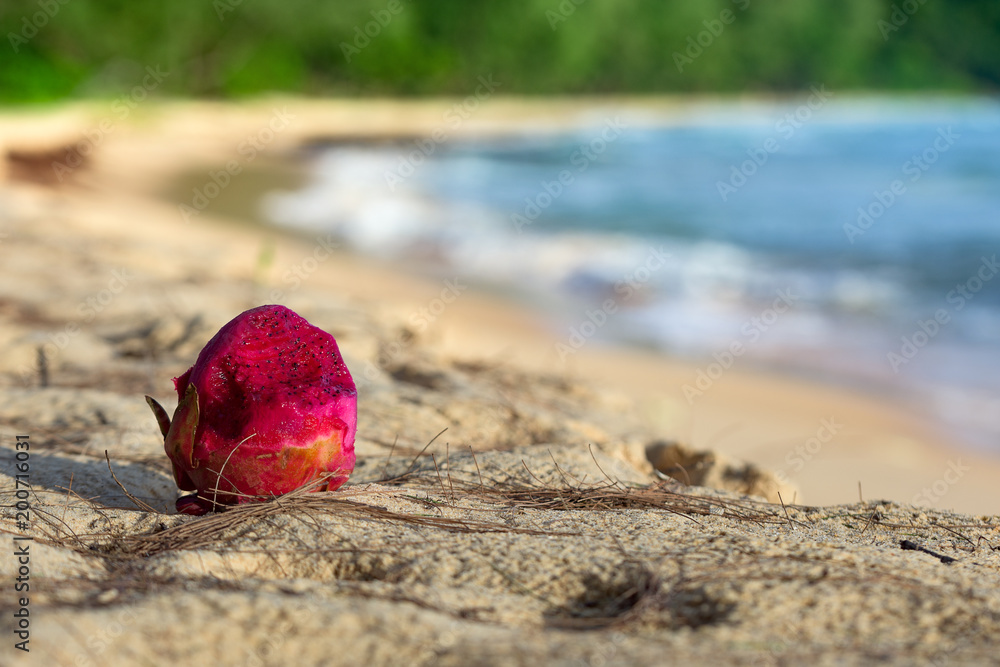 Red, juicy dragon fruit lies on the sand. Sunset at the Beach with with jungle in the background. Red, juicy dragon fruit lies on the sand. Sunset at the Beach with with jungle in the background.