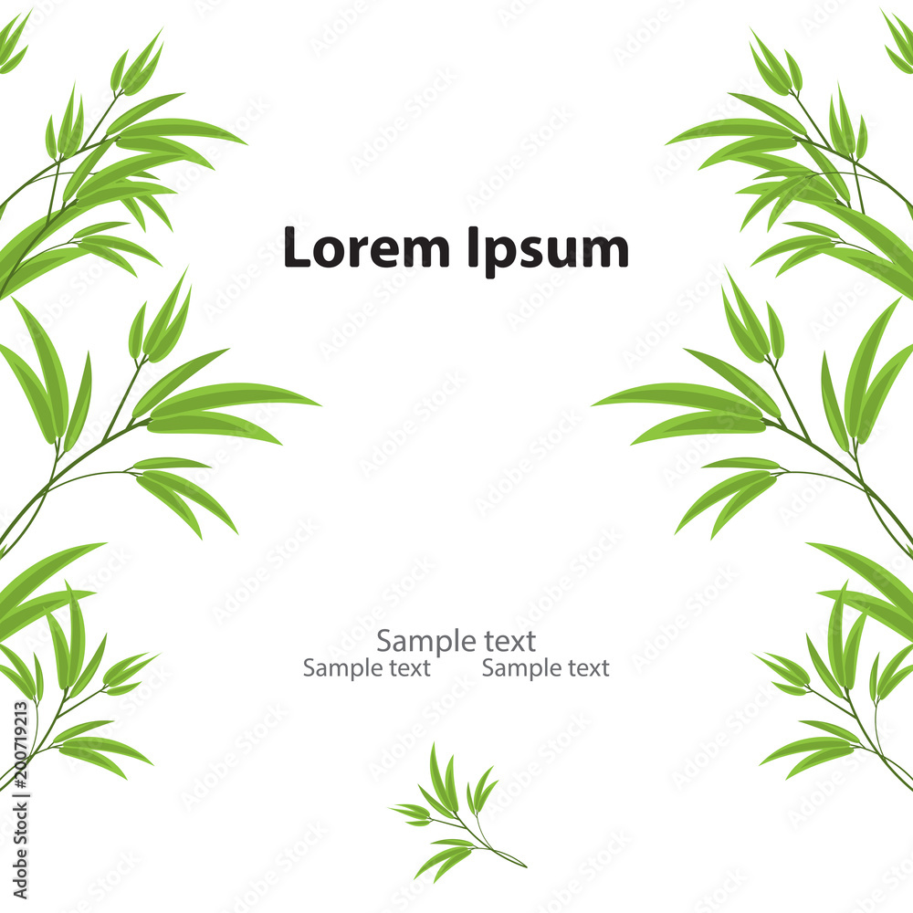 Chinese or japanese green bamboo grass leaves isolated on white background with copy space.Oriental wallpaper vector illustration. Tropical asian plant background.Decorative greenery frame