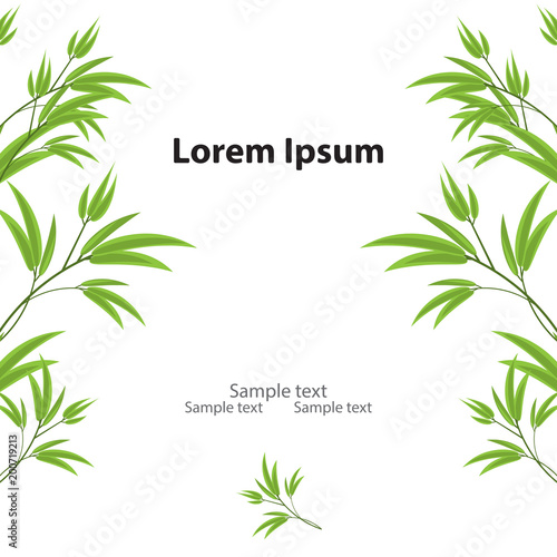 Chinese or japanese green bamboo grass leaves isolated on white background with copy space.Oriental wallpaper vector illustration. Tropical asian plant background.Decorative greenery frame