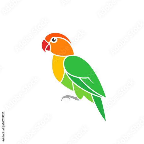Green parrot. Lovebird. Exotic bird on white background  
