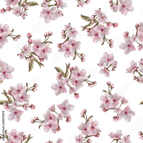 Spring Onflorescence Seamless Pattern Isolated on White Background. Pink Apple, Almond, Cherry Flower Rapport for Seamless Background, Print, and Textile.