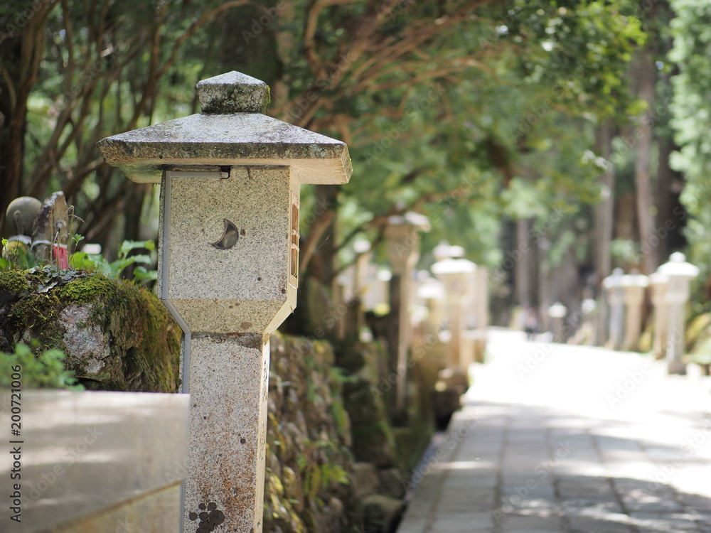 Fototapeta premium 高野山