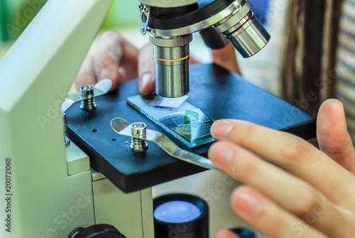 students experimenting and discovering in natural sciences class