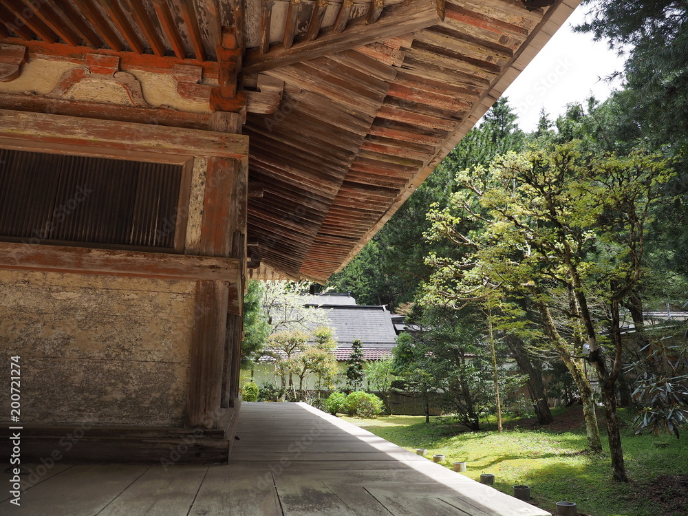 Fototapeta premium 高野山