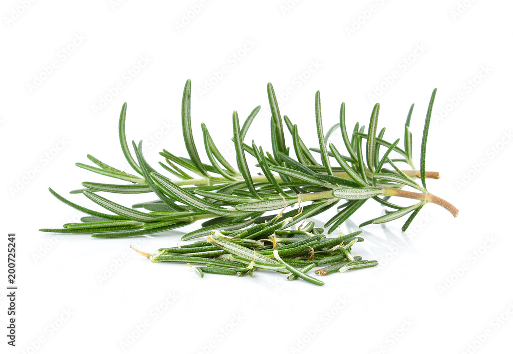 Fototapeta premium Rosemary isolated on white background