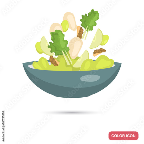 Plate with salad color flat icon