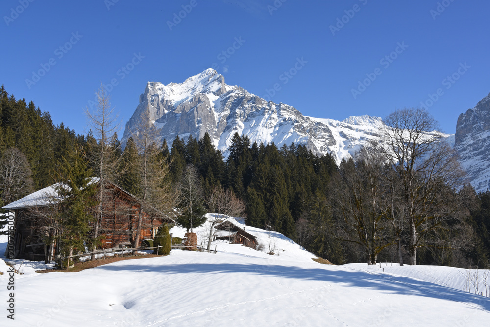 Fototapeta premium Alpine hut in Grindelwald, Switzerland, and Wetterhorn in the background