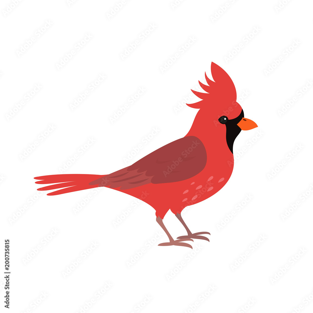 Fototapeta premium Northern red cardinal icon on white background.