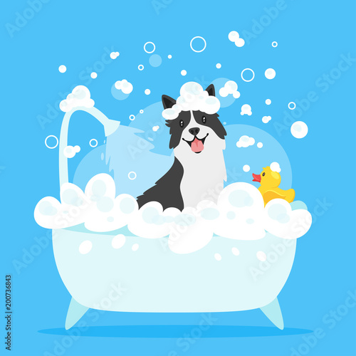 dog taking a bath