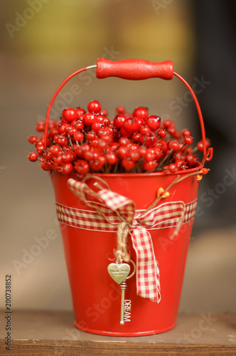 Fotografie Berry season. red bucket with berries. Organic Bio Berries
