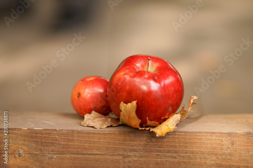 a red apple lies on a yellow leaf