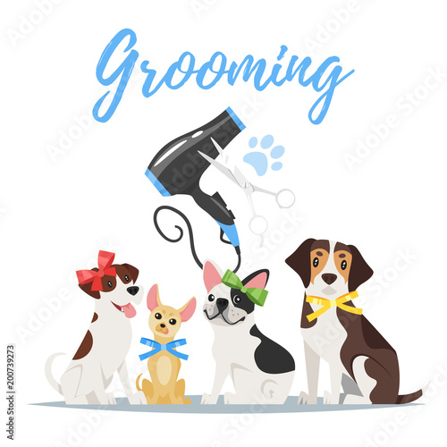 Grooming concept with dogs