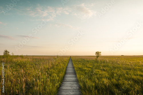 Footbridge through the Lawki swamp in Biebrza National Park, Poland photo