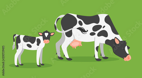 cow with calf