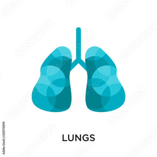 lungs logo isolated on white background for your web, mobile and app design
