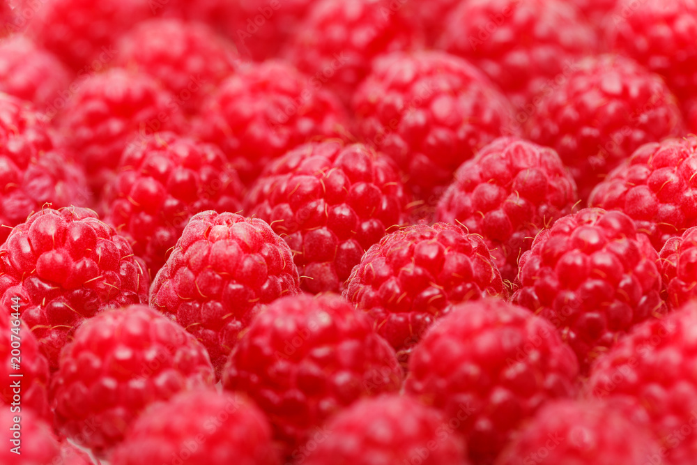 many raspberry berries isolated on white many raspberry berries isolated on white