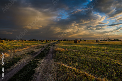 The field road in the sunset