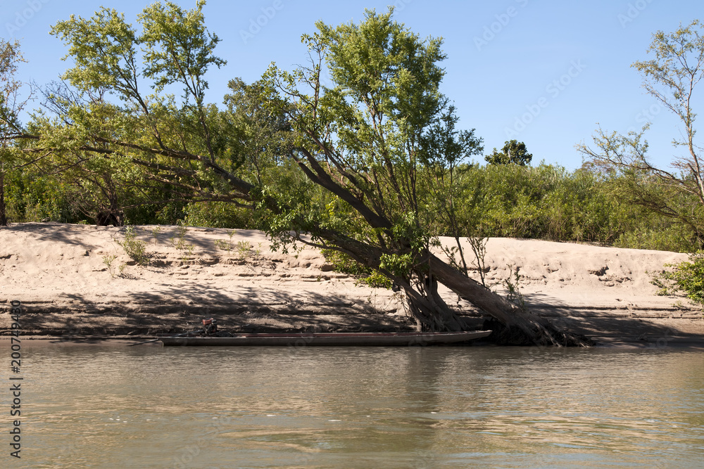 Stung Treng Cambodia, canoe moored on riverbank flooded forest in the Mekong river between Stung Treng and the Lao border in dry season Stung Treng Cambodia, canoe moored on riverbank flooded forest in the Mekong river between Stung Treng and the Lao border in dry season