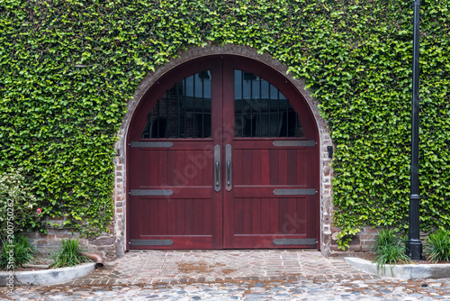 Arching Wooden Door and Ivy Wall