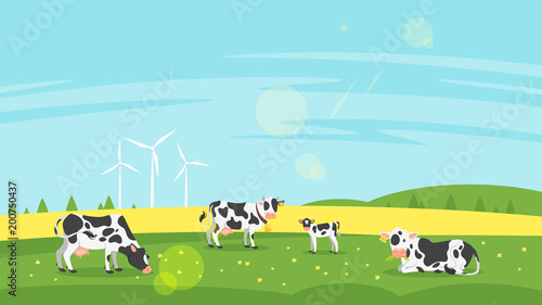 cows graze in a field