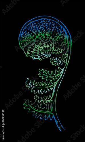 Black and white picture of a fractal leaf. Spiral fern
