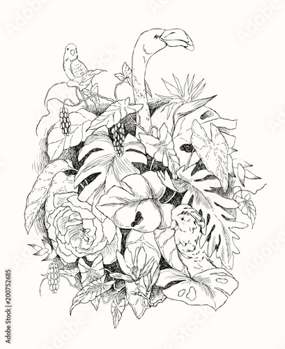 Hand drawn branches and leaves of tropical plants. Monochrome floral bunch with bird. Flamingo, parrot, cockatoo. Black and white coloring page for adult. Vector sketch.