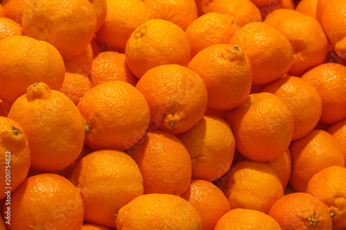 A pile of orange Clementines fruits or minneola tangelo as background, texture photo