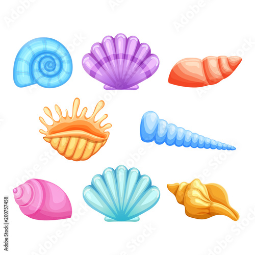 Colorful seashells in cartoon style isolated on white background. Vector set.