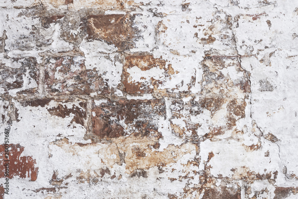 Fototapeta premium Beautiful Wallpapers for your computer. Horizontal. Close up.
