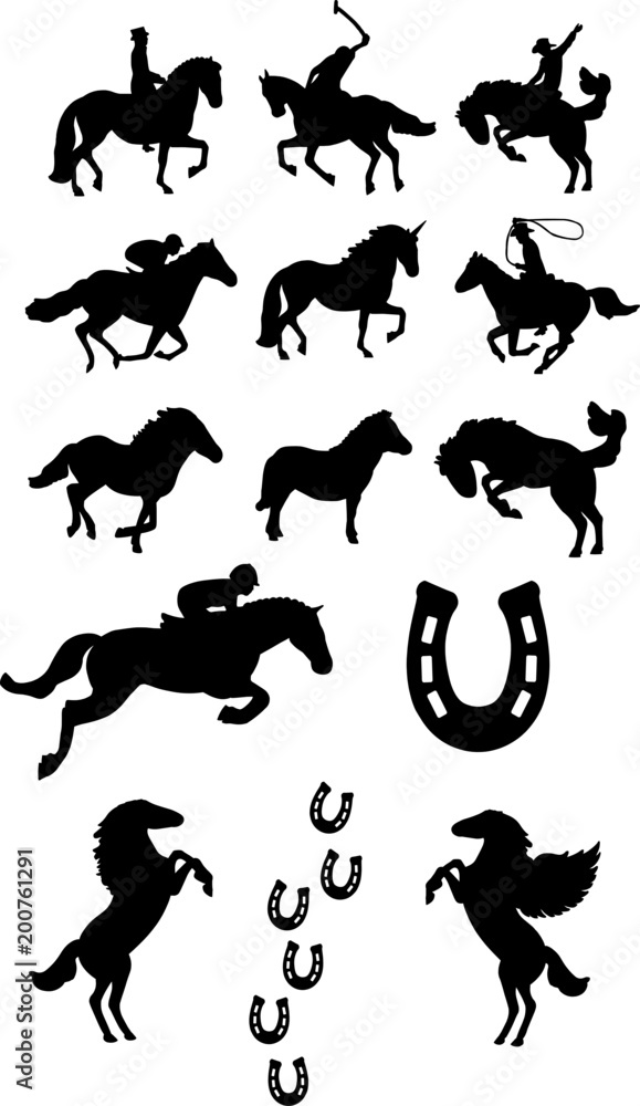 Naklejka premium Horses
