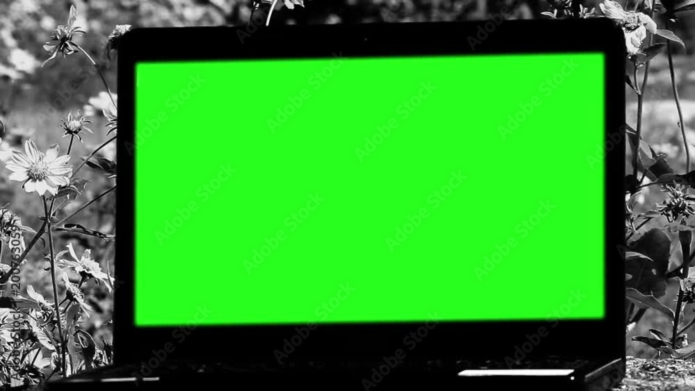 Laptop Green Screen in the Field. Zoom In. Black and White Tone. You can replace green screen with the footage or picture you want with “Keying” effect in AE (check out tutorials on YouTube). Laptop Green Screen in the Field. Zoom In. Black and White Tone. You can replace green screen with the footage or picture you want with “Keying” effect in AE (check out tutorials on YouTube).