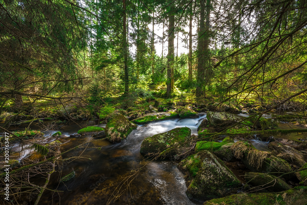 Some stream in the Black Forest, Germany, 2018, Schwarzwald Some stream in the Black Forest, Germany, 2018, Schwarzwald