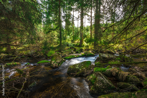 Some stream in the Black Forest, Germany, 2018, Schwarzwald © Arthur Palmer