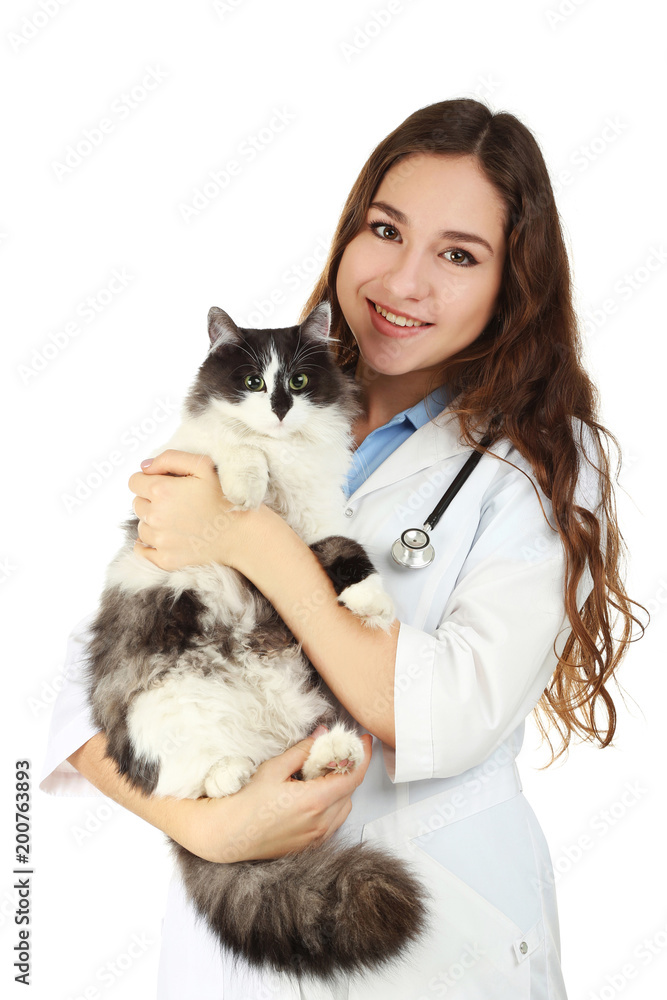 Young veterinarian holding cat on white background Young veterinarian holding cat on white background