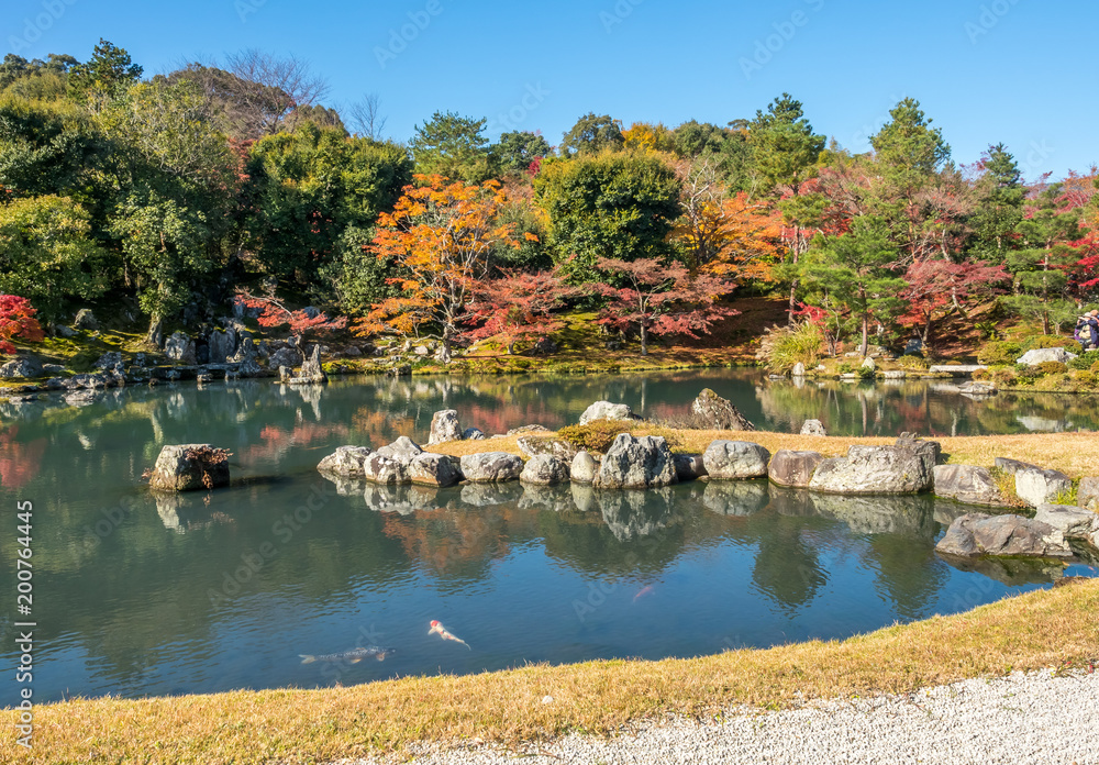 Colorful leaves with reflection in pond