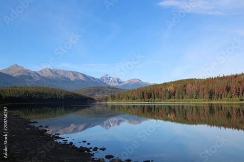 Calm Patricia Lake  Jasper National Park  Alberta