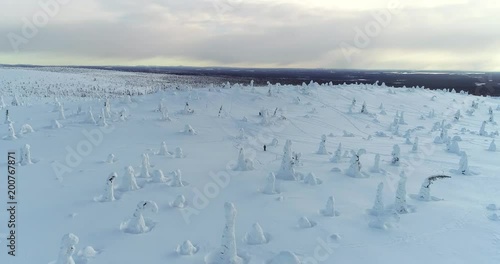 Man walking on a snowy mountain, Cinema 4k aerial view of a male hiking over a tunturi, full of snow covered trees, on a fjeld or fell, on a cloudy day, in Riisitunturi national park, Lapland, Finland