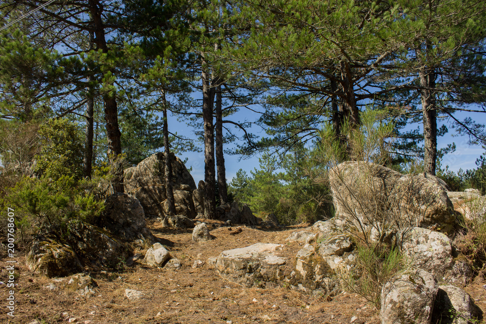 Mount Limbara (Sardenia, Italy) - national park view Mount Limbara (Sardenia, Italy) - national park view