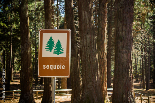 Mount Limbara - sequoia sign