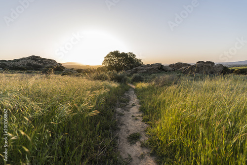 Sunrise meadow trail mornin...