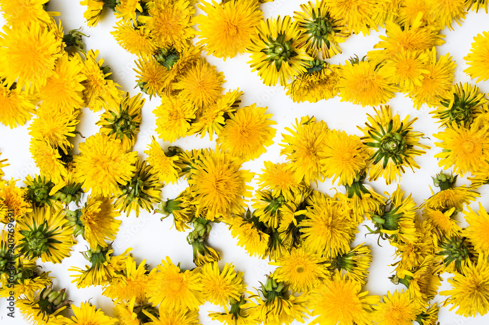Dandelion flowers background pattern Dandelion flowers background pattern