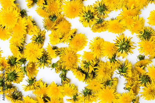 Fototapeta Naklejka Na Ścianę i Meble -  Dandelion flowers background pattern