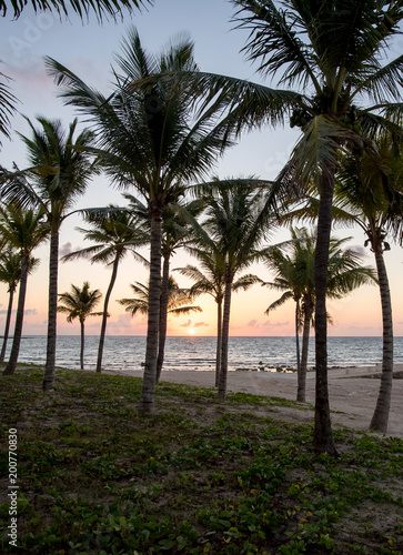 Sunrise on beach in Cancun