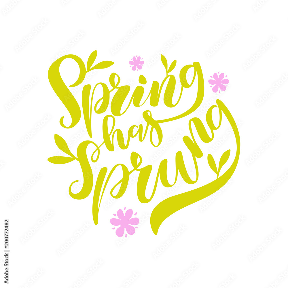 Spring Has Sprung Brush Lettering Spring Has Sprung Brush Lettering