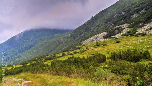 Fototapeta Naklejka Na Ścianę i Meble -  Beautiful mountain landscape