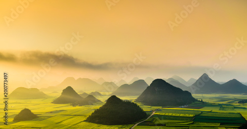 Yellow rapeseed (canola) flower field in spring, Luoping, China