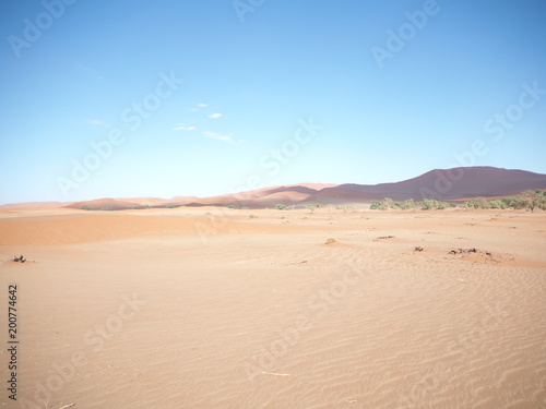 砂漠2