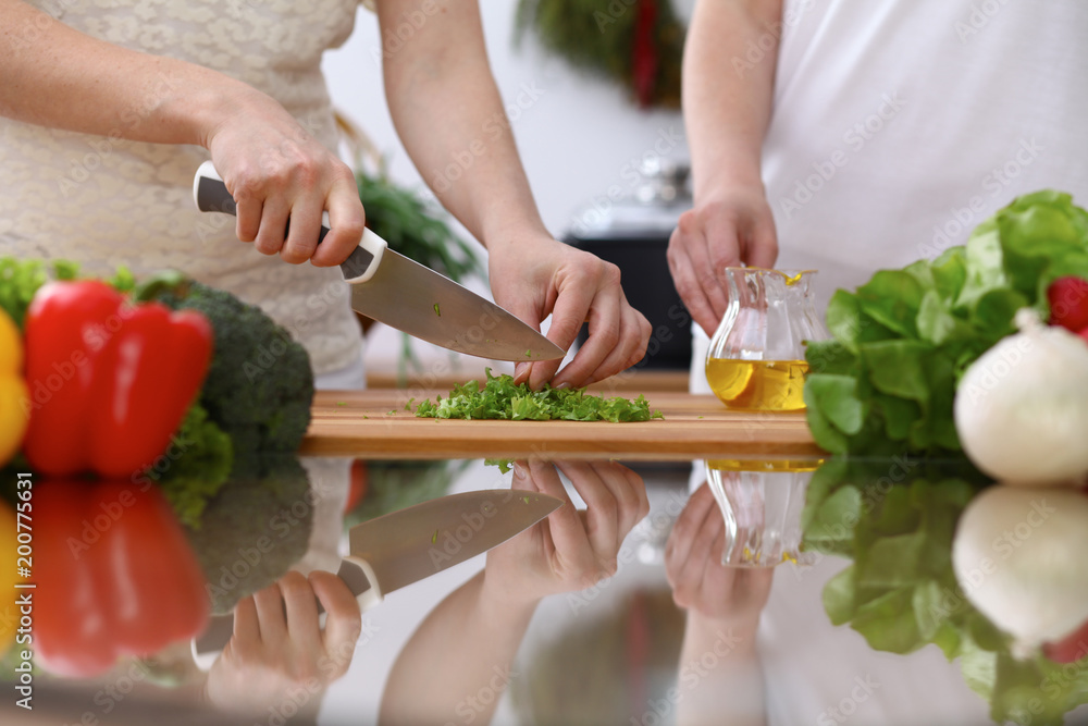 Closeup of human hands cooking in kitchen. Mother and daughter or two female cutting green salad or herbs. Healthy meal, vegetarian food and lifestyle concepts Closeup of human hands cooking in kitchen. Mother and daughter or two female cutting green salad or herbs. Healthy meal, vegetarian food and lifestyle concepts