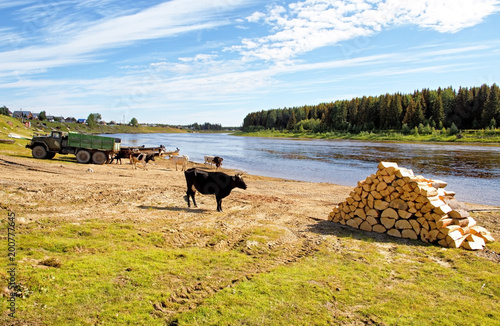 Obraz na płótnie Russia, the circumpolar Urals. The village of Mansi peoples on the banks of the river w salonie