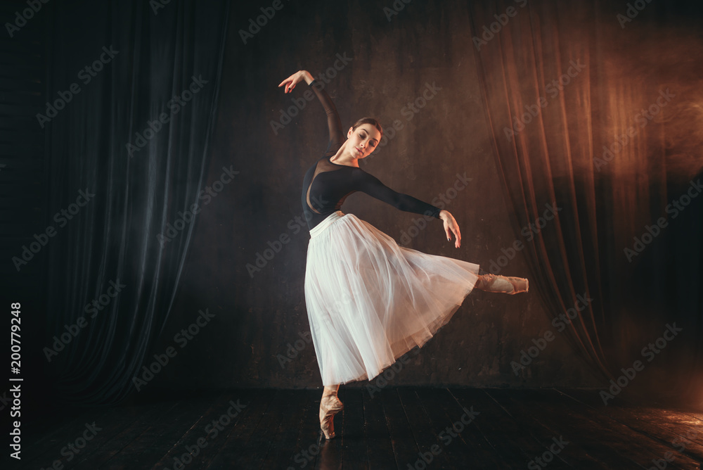 Obraz premium Classical ballet dancer in motion on the stage